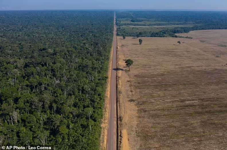 Las pérdidas de la selva amazónica en Brasil han alcanzado su nivel más alto en más de 15 años, y la deforestación aumentó en un 22 por ciento solo en el último año. En la imagen: la carretera BR-163, vista aquí a fines de 2019, que se extiende entre el Bosque Nacional Tapajos y un campo de soja en Belterra, estado de Pará, Brasil