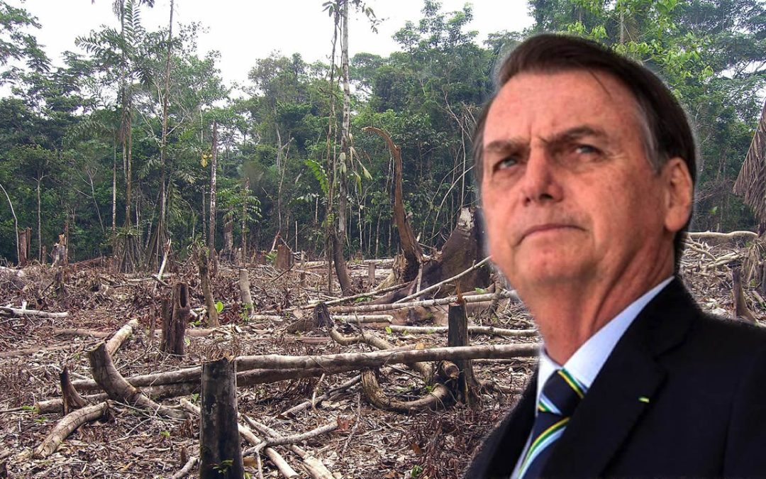 Ecocidio: deforestación en selva amazónica de Brasil aumentó 22% solo en el último año
