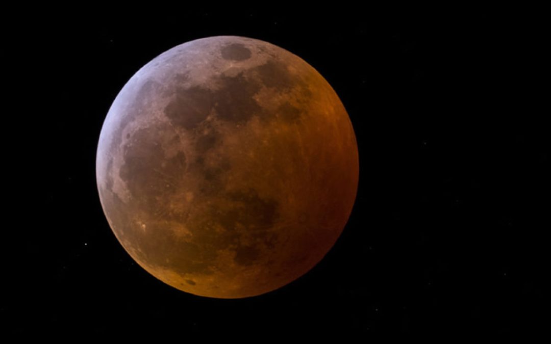 Este viernes 19 de noviembre: no te pierdas el eclipse lunar parcial más largo del siglo