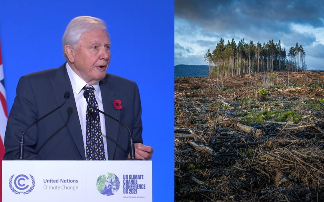 “¿Es así como nuestra historia debe terminar?”… David Attenborough y su advertencia en la COP26