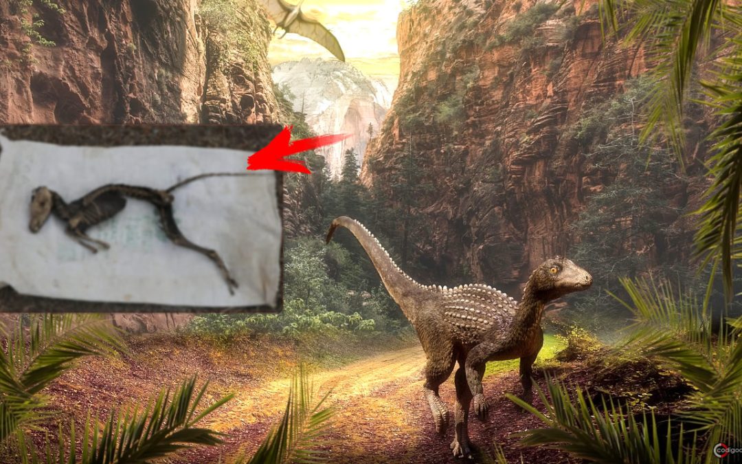 Descubren esqueleto similar al de un “dinosaurio” en ciudad de Turquía