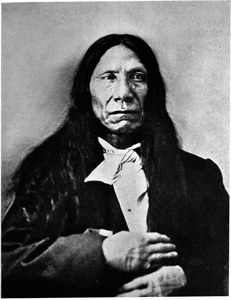 Fotografía del jefe sioux oglala Nube Roja tomada en 1876. Extraída de publicación "The Indian Dispossessed" por Seth K. Humphrey