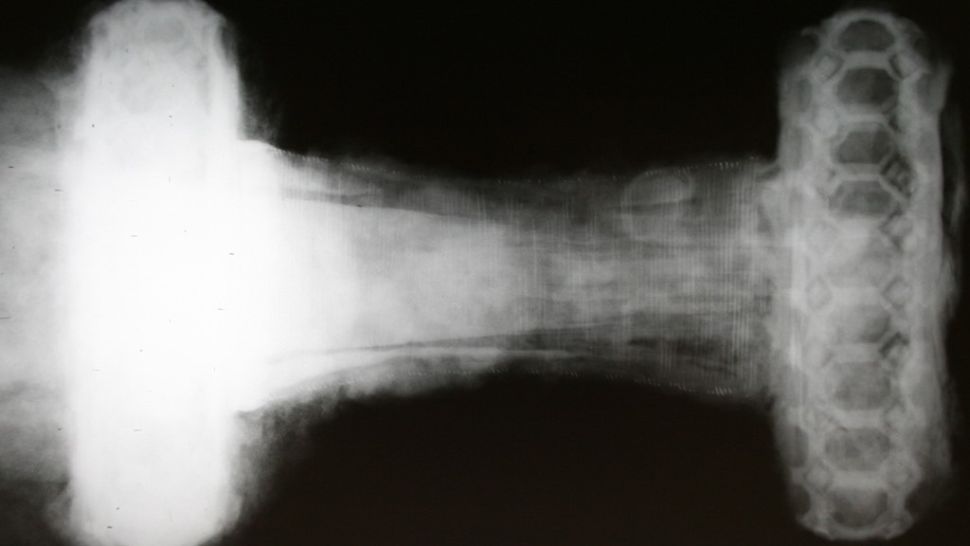 Una imagen de rayos X de la espada vikinga revela una empuñadura ornamentada con un diseño en forma de panal