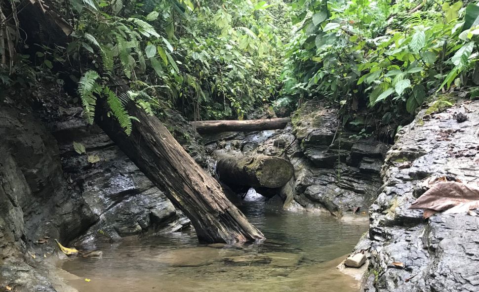 Una fuente termal en Panamá donde los investigadores recolectaron fluidos y gases para rastrear el movimiento de materiales del manto