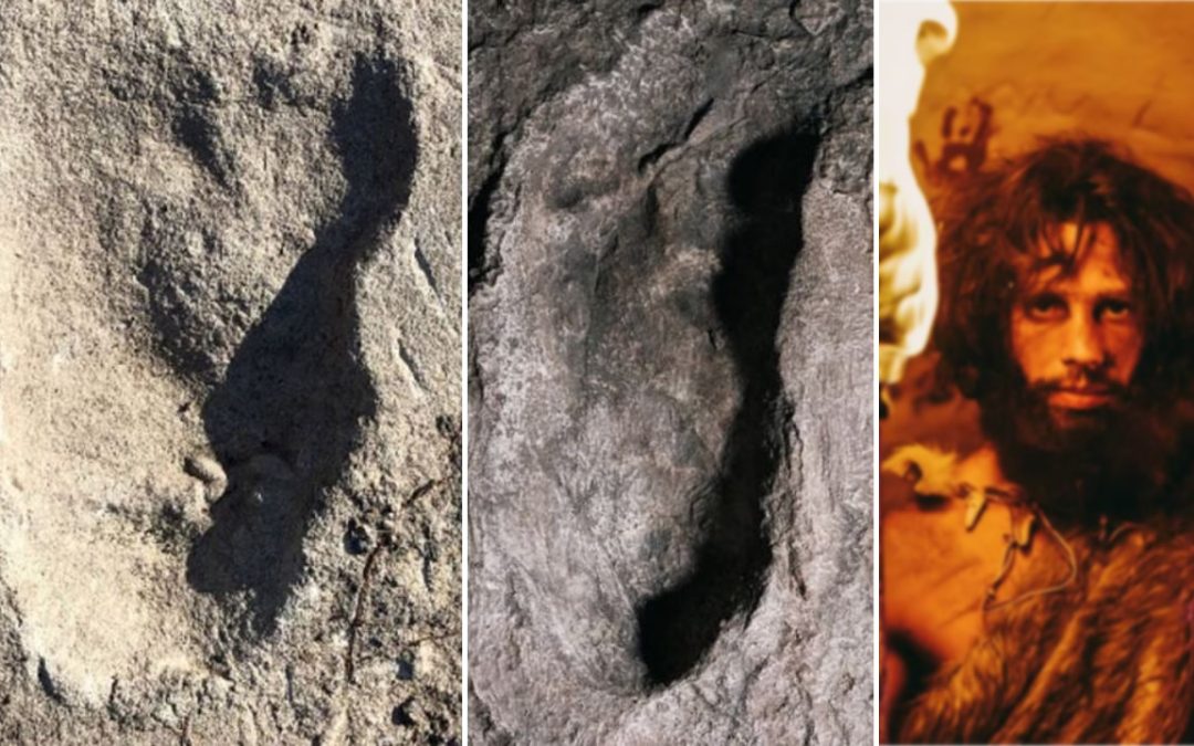 Un misterioso ancestro humano habría dejado sus huellas hace 3.7 millones de años en África