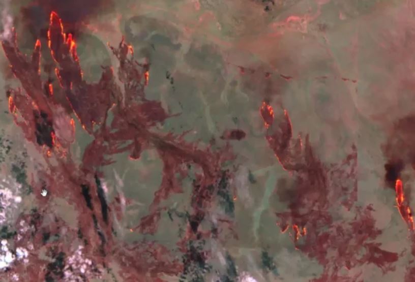 El enorme y veloz incendio del desierto de Tanami quemó casi 7.000 km 2 en unos pocos días