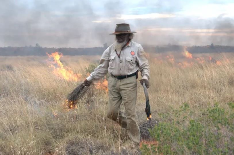 Los guardabosques indígenas son cruciales a la hora de cuidar paisajes propensos a incendios