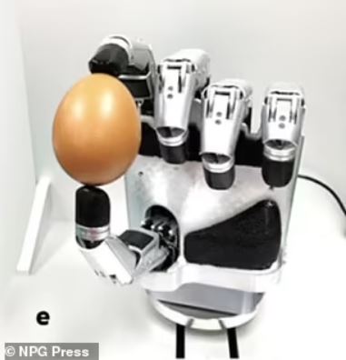 La mano robótica es capaz de tomar objetos de diversas formas, agarrar con la fuerza suficiente para aplastar latas o con la delicadeza de sostener un huevo