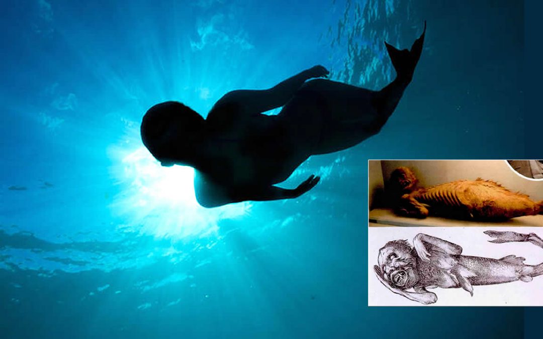 Sirena de Fiji: ¿qué era la extraña “criatura” que se convirtió en un “espectáculo” el el siglo XIX?