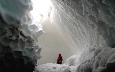 Nuevas formas de vida son halladas en profundidades del hielo en la Antártida