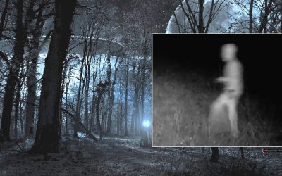 Encuentro cercano: hombre afirma haber fotografiado un “alienígena” de cabeza bulbosa en EE. UU.