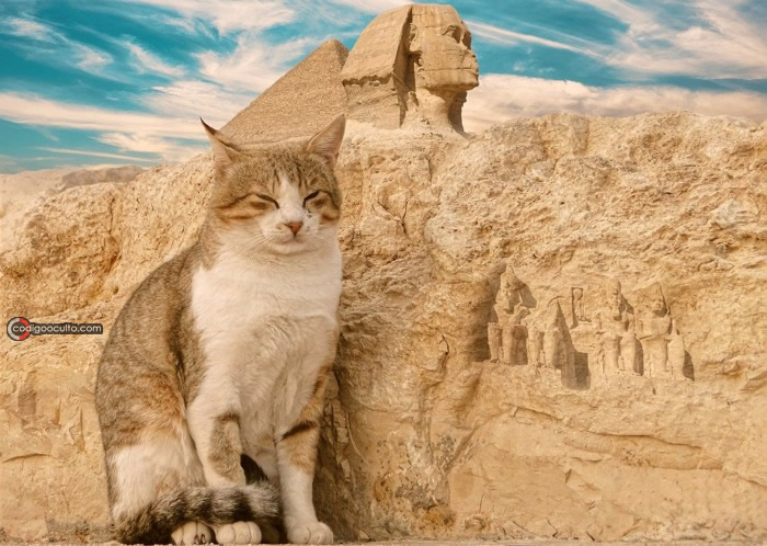 Los antiguos egipcios adoraban a los gatos