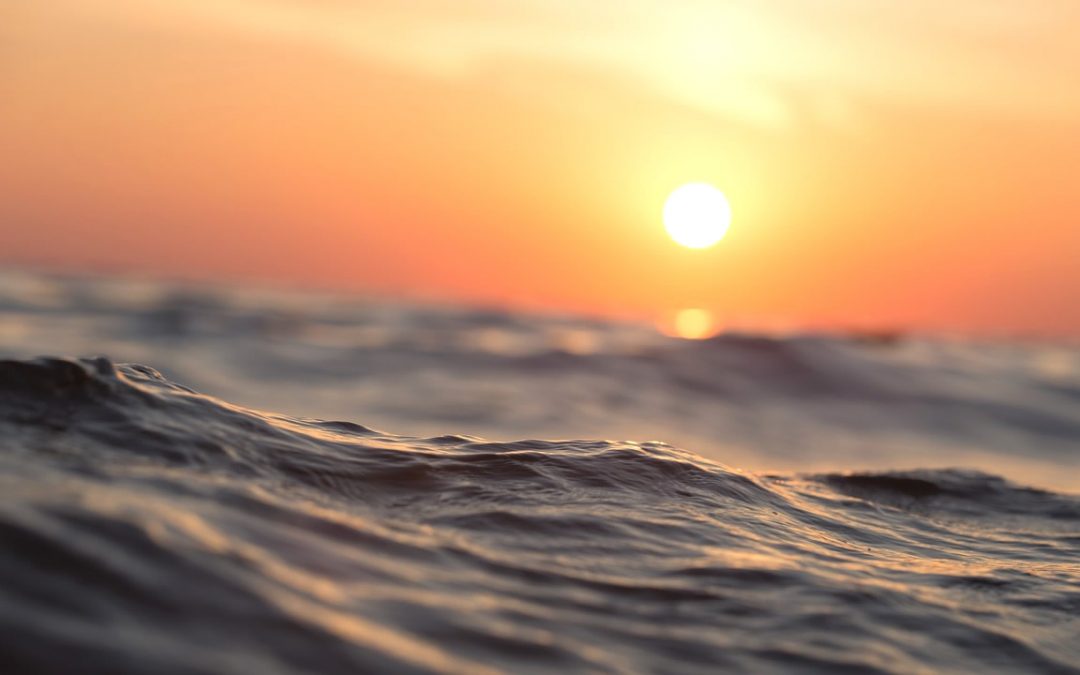 Océanos ahora están más calientes que cualquier otro momento en la historia, advierten científicos