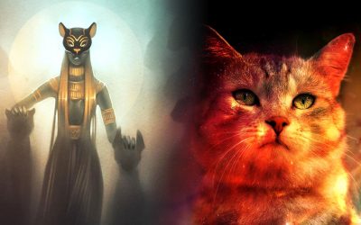 ¿Por qué los antiguos egipcios amaban mucho a los gatos?