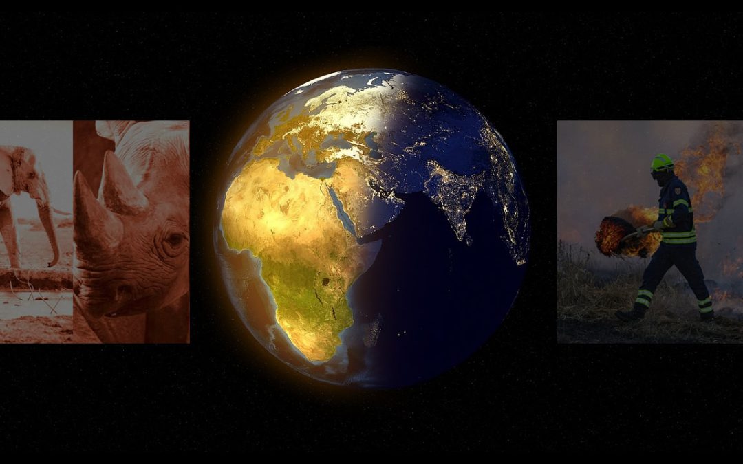 “Estamos presenciando el inicio de la sexta extinción masiva en la historia de la Tierra”, afirman biólogos