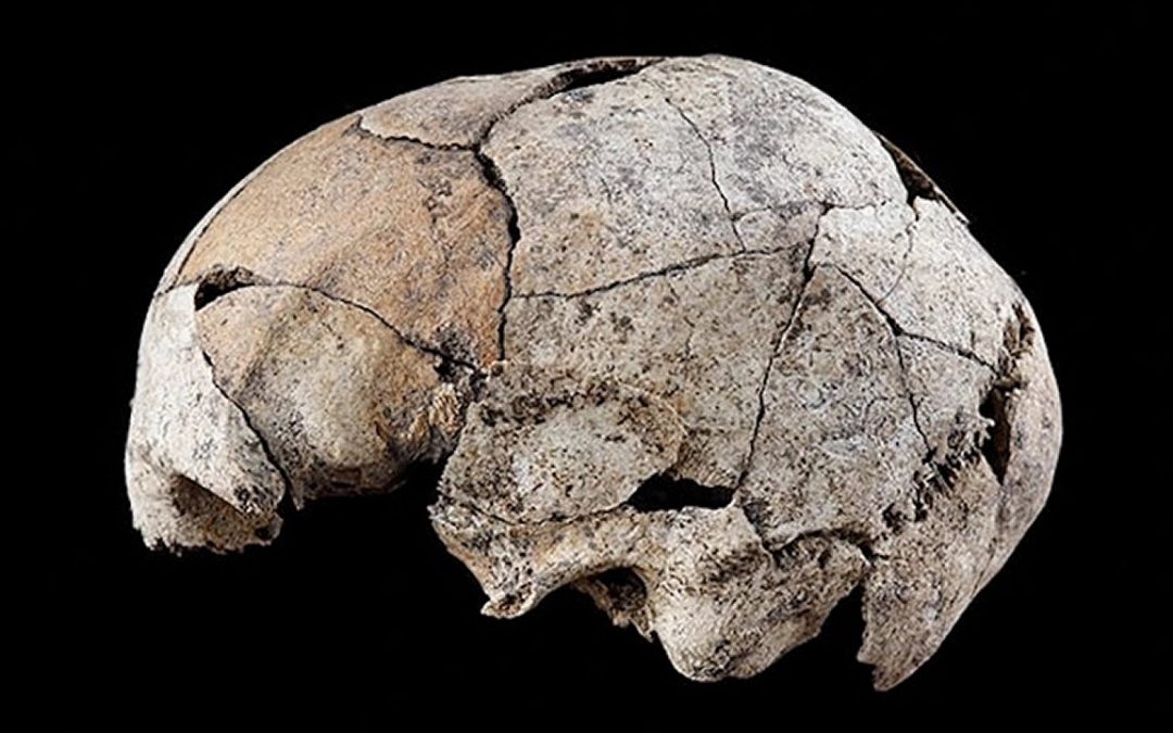 Antiguo cráneo insinúa la primera cirugía de oído, hace 5.300 años