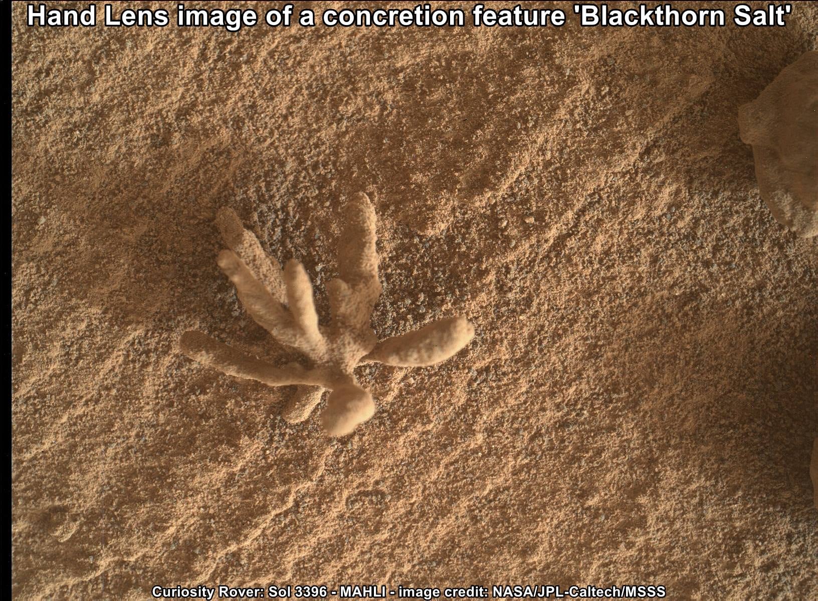 La llamada "Flor en Marte" hallada por el Curiosity Rover.