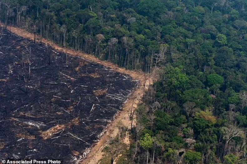 La climatóloga Katharine Hayhoe de The Nature Conservancy, que no formó parte del último informe, lo llama el informe "Tu casa está en llamas" (en la fotografía: parte de un área que se quemó debido a los incendios forestales cerca de Porto Velho, Brasil)