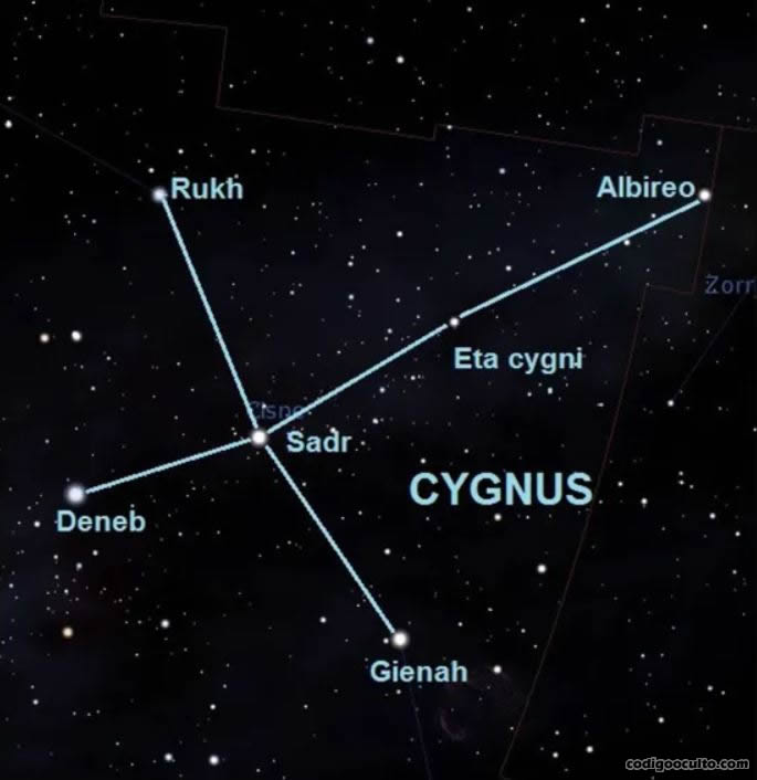 Constelación Cygnus (El Cisne)