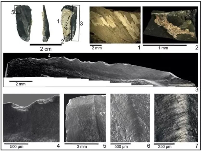 Piedras con forma de lámina encontradas en Xiamabei tienen evidencia microscópica de haber sido unidas a un mango de hueso con fibras vegetales