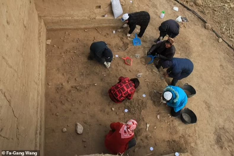 Arqueólogos excavando la superficie bien conservada en el sitio de Xiamabei, en el norte de China, mostrando herramientas de piedra, fósiles, ocre y pigmentos rojos