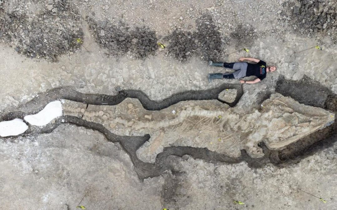 El fósil gigante de “Dragón Marino” de 180 millones de años hallado en Reino Unido