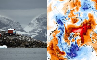 Registran 40 grados más de lo normal en el este de la Antártida. Científicos están estupefactos