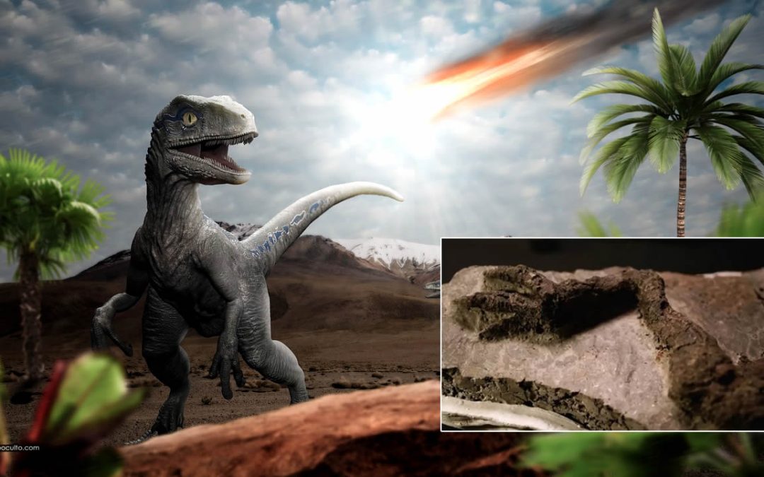 Descubren fósil de dinosaurio que “murió el mismo día” que un asteroide los extinguió