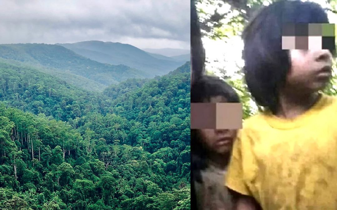 Dos niños sobreviven solos un mes en la selva amazónica en Brasil