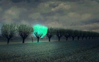 Árboles Bioluminiscentes, una alternativa para sustituir el alumbrado público