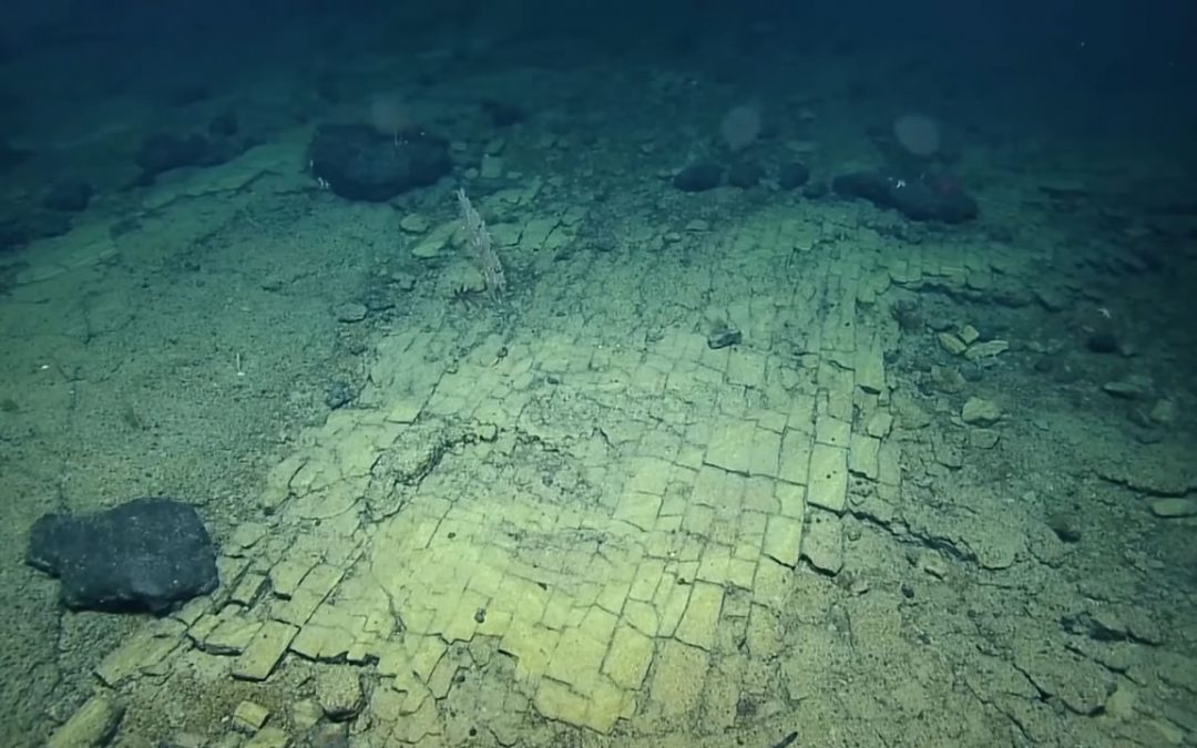 Encuentran un camino de ladrillos amarillos en el fondo del océano Pacífico
