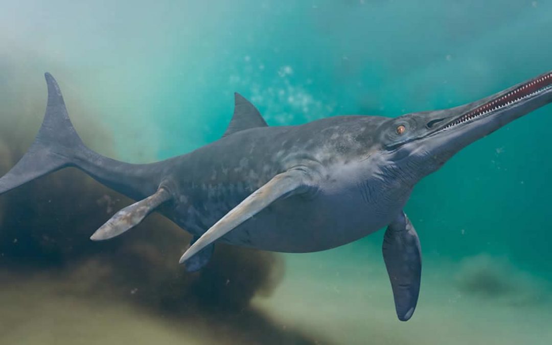 Encuentran el raro fósil de un “monstruo marino” preñada en Chile