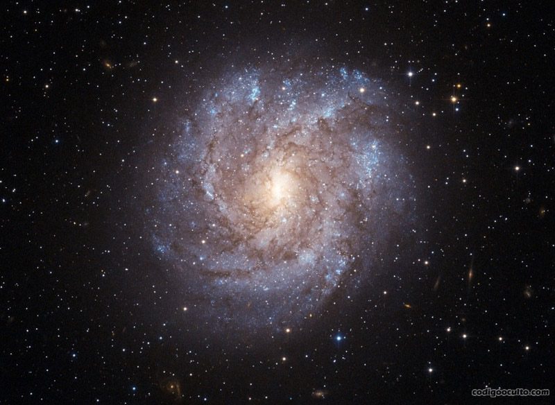 NGC 2082 vista por el Telescopio Espacial Hubble