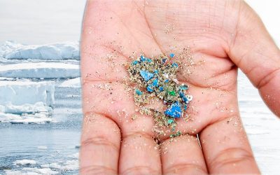 Preocupación mundial: Por primera vez encuentran microplásticos en la nieve de la Antártida