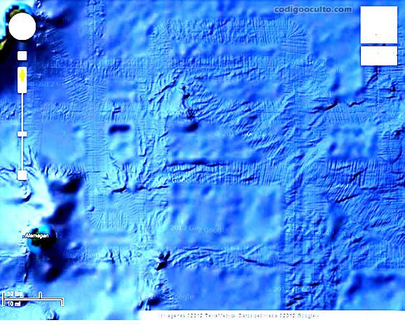 Análisis fotográfico del fondo marino que evidencia presencia de pistas en el lecho marino en las inmediaciones de las islas Marianas del Norte