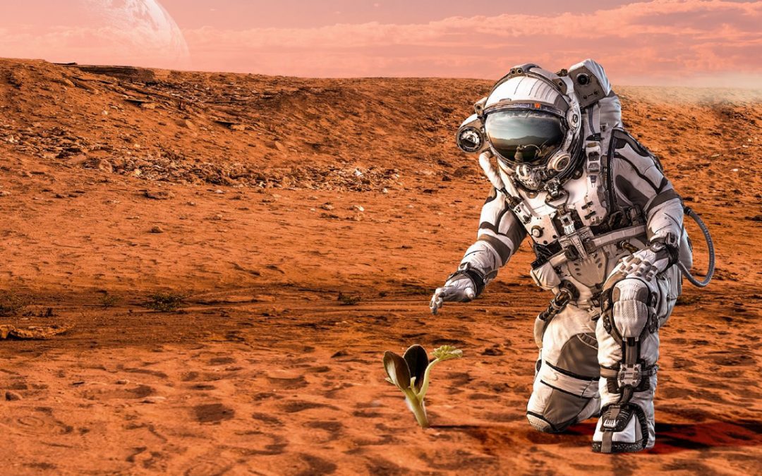 Vida alienígena antigua podría estar enterrada a más de dos metros bajo la superficie de Marte, dice NASA