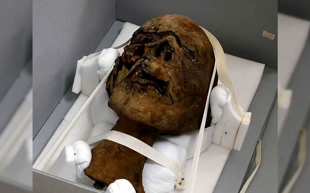 Hallan cabeza “decapitada” de una momia egipcia de 2.000 años en el ático de una casa en Reino Unido