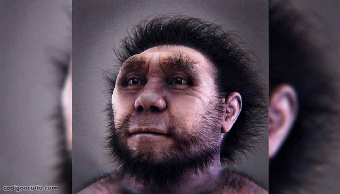 Representación del Homo erectus
