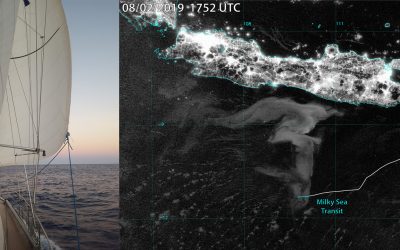 Tripulación de yate privado confirma avistamiento de un “mar lechoso” bioluminiscente