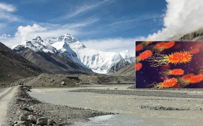 Ola de pandemias podría desencadenarse por microbios nunca antes vistos en glaciares tibetanos que se liberan por el deshielo, advierten científicos