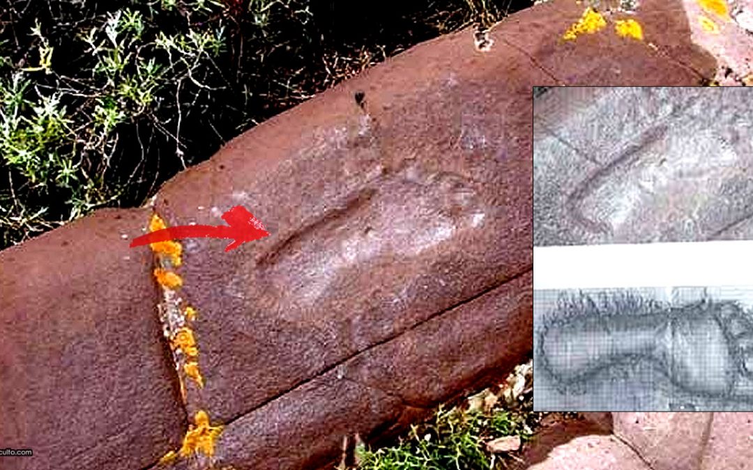 Pisada del Inca: la “huella” petrificada de 15 millones de años hallada en Bolivia