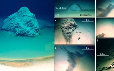 Descubren “piscinas mortales” debajo del océano que pueden matar cualquier cosa que nade en ellas