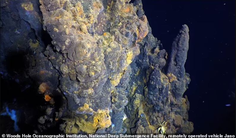 El agua de mar en los respiraderos hidrotermales puede alcanzar temperaturas de más de 700 grados Fahrenheit. En la imagen: las estructuras de sulfuro en el campo de ventilación YBW-Sentry tienen tinción de hierro amarillo y albergan cangrejos Bythograeid blancos