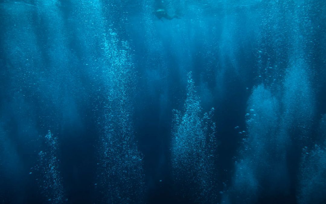 Descubren un campo hidrotermal a 2.5 km de profundidad frente a la costa de México