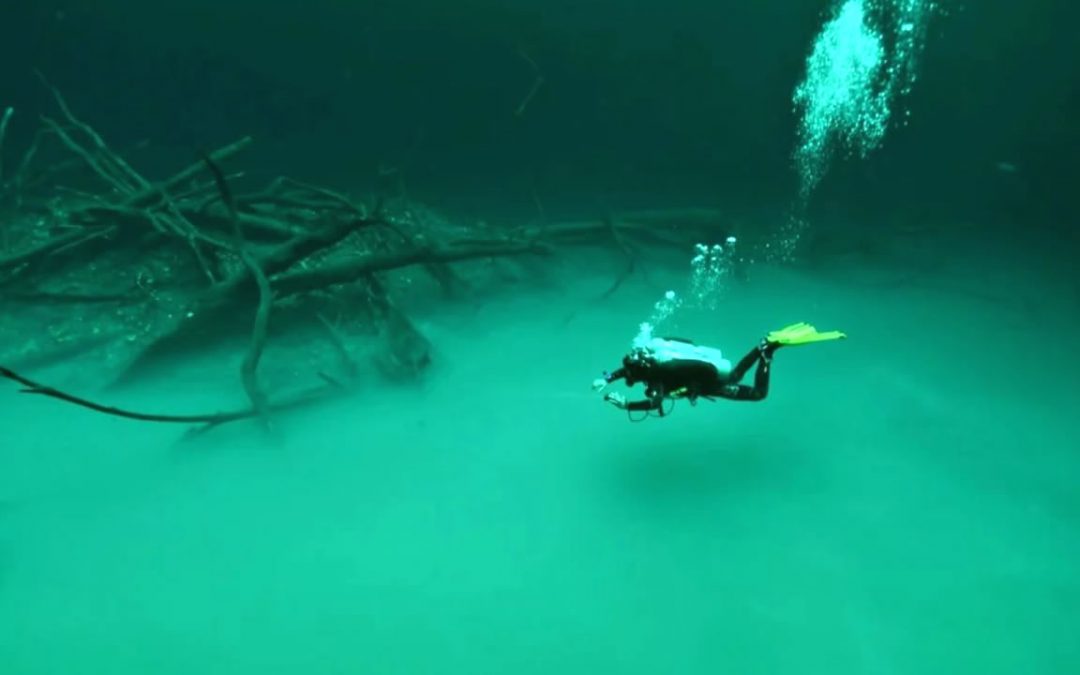 Cenote Angelita: un sorprendente “mundo sumergido” en Yucatán