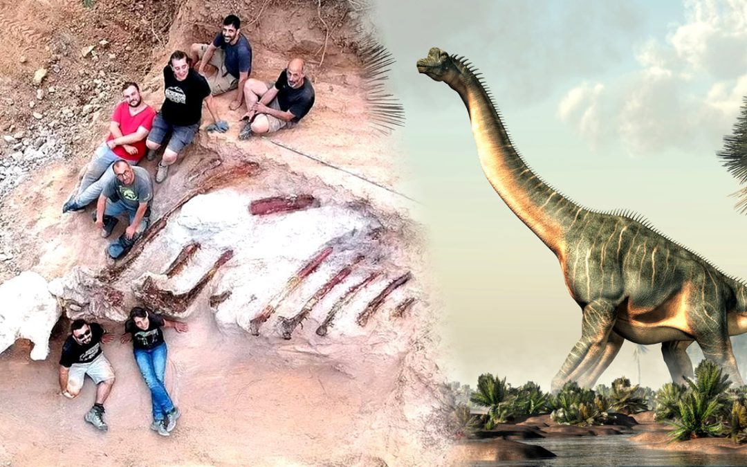 Hombre encuentra un braquiosaurio en su patio trasero. Uno de los más grandes dinosaurios del Jurásico
