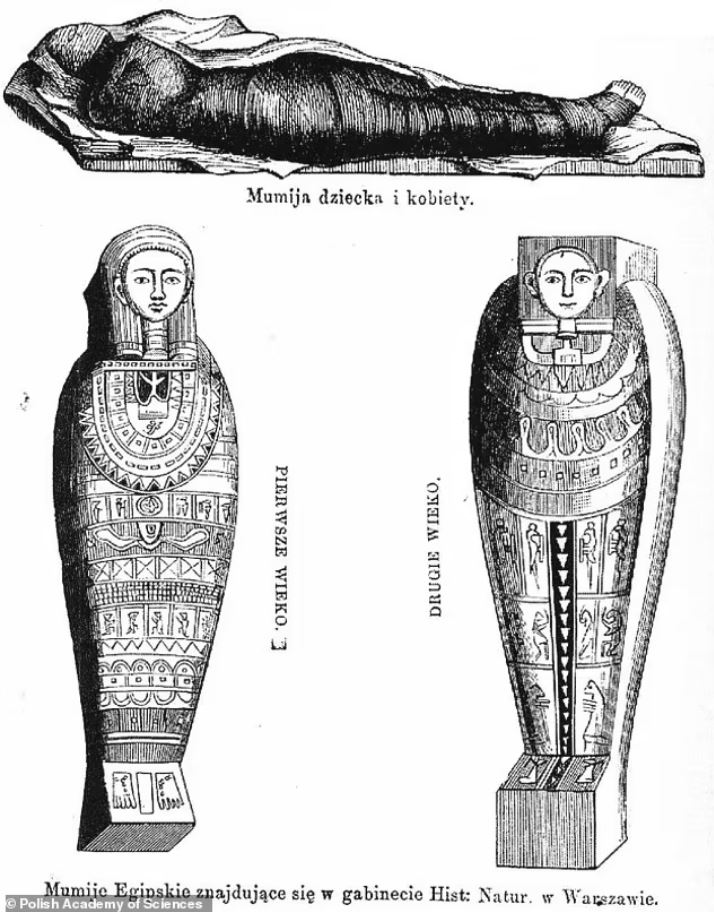Estos son los primeros dibujos del sarcófago de la momia, que datan del siglo XIX, cuando la momia fue llevada por primera vez a Polonia