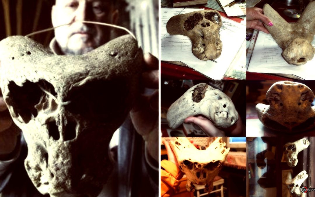 Hallazgo en “Bolshoi Tjach”: dos misteriosos “cráneos” descubiertos en una antigua cueva en Rusia