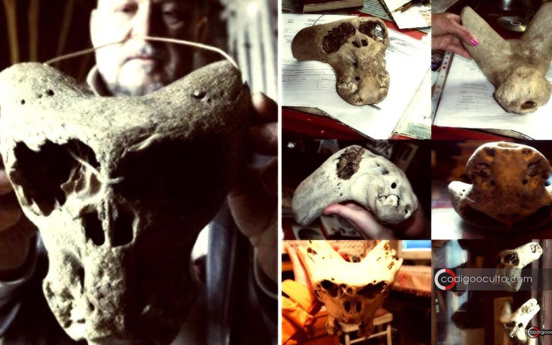 Hallazgo en “Bolshoi Tjach”: dos misteriosos “cráneos” descubiertos en una antigua cueva en Rusia
