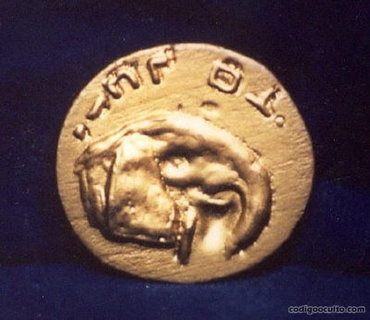 Hermosa moneda de oro perteneciente a la Colección Burrows, representando la cabeza de un elefante, y que se cree fuera emblema de la reina Cleopatra